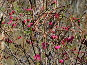 DSCN0328