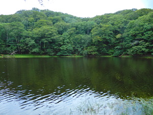 DSCN0068