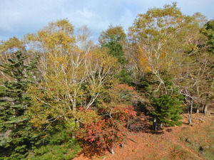 DSCN9576