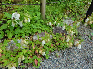 DSCN0048