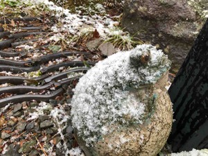 IMG_6263