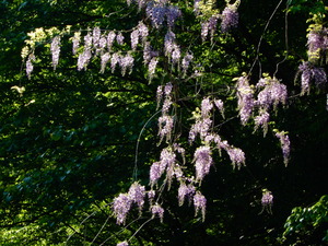 DSCN0018