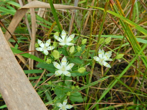 DSCN0993