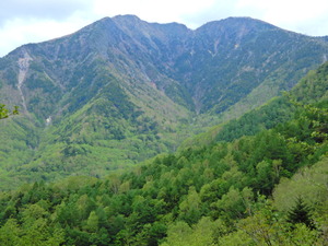DSCN9954