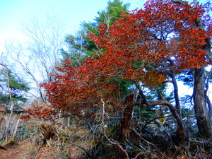 DSCN9977
