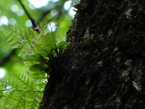 DSCN9937
