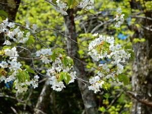 DSCN0217