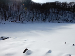 DSCN0293