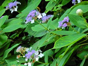 DSCN0134