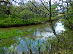 DSCN0656