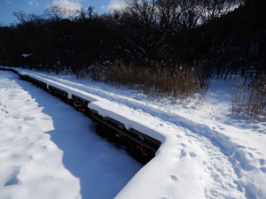 DSCN3080