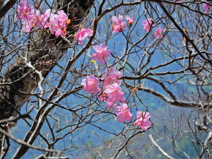 DSCN0474
