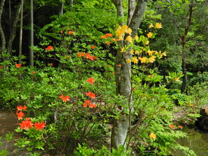 DSCN9528