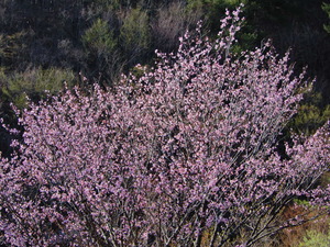 DSCN9904