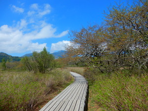 DSCN0662