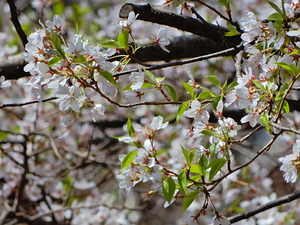 DSCN9702