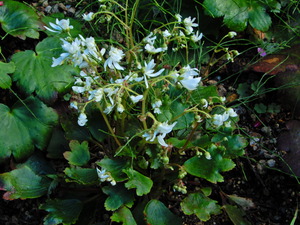 DSCN9377
