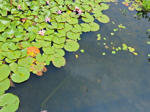 DSCN0369