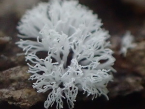 P8224056