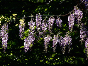 DSCN0019