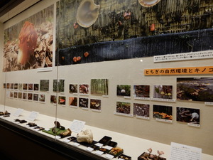 DSCN0581