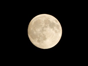 DSCN9731