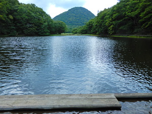 DSCN0082
