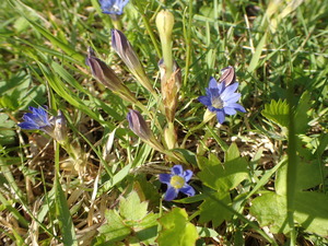 P6040056