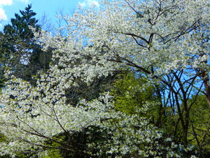 DSCN0214
