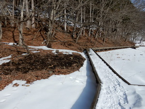 DSCN0290