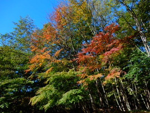 DSCN9801