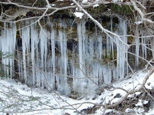 DSCN9425