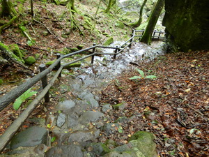 DSCN0735