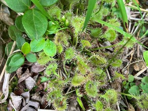 IMG_1079