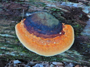 DSCN9842