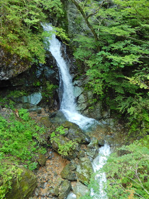 DSCN9427