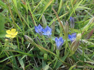 P6040040