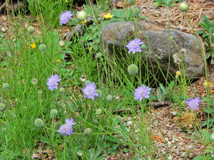 DSCN0153