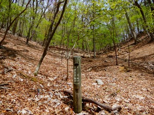 DSCN0048