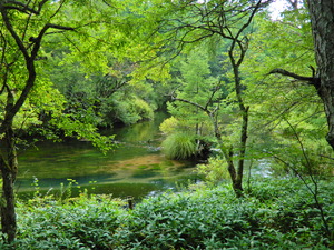 DSCN9860