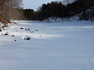 DSCN0297
