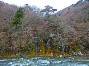 DSCN9874