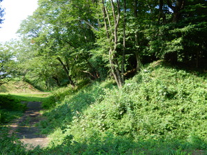 DSCN1046