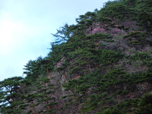 DSCN9831