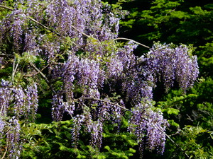 DSCN9922