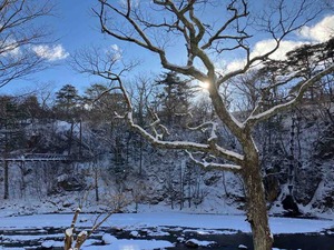 IMG_0691