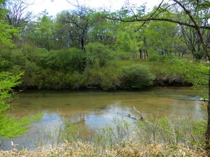 DSCN0652