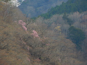 DSCN0642