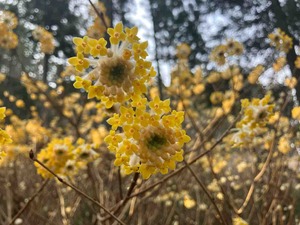 IMG_1759