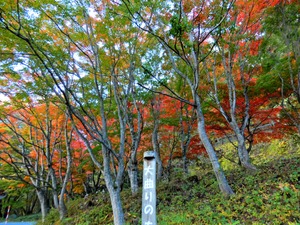 DSCN1665